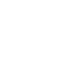 brand logo 1