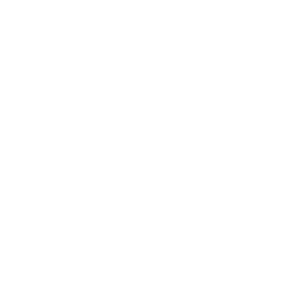 brand logo 2